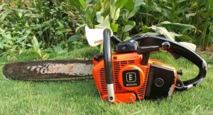 cắt tỉa c&acirc;y, cỏ dại trong vườn nh&agrave;